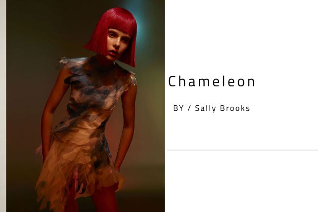 Chameleon collection from Sally Brooks