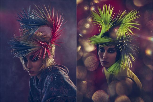 AMAZONIA Collection by MANUEL MON