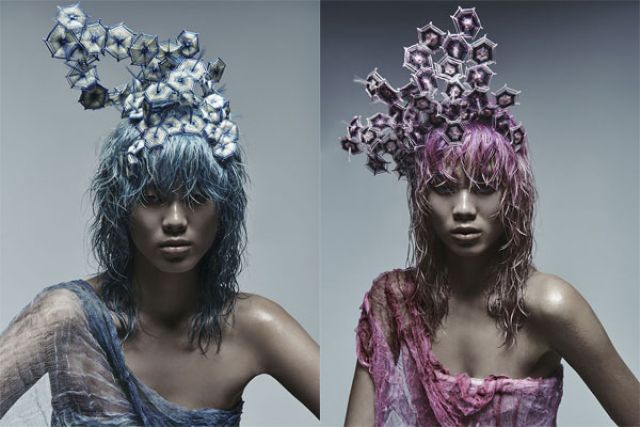 KLIMT 1900 Collection by MANUEL MON