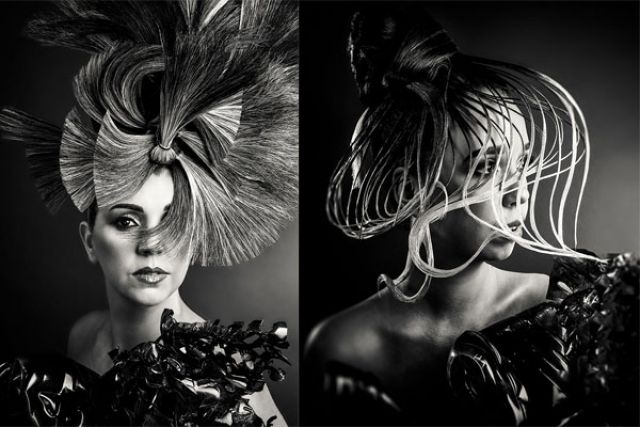 Fantail by William Gray