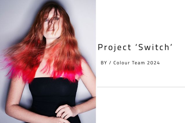 Colour Team 2024 Project ‘Switch’
