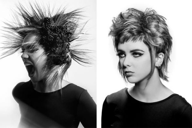 Collection William Gray – Crazed