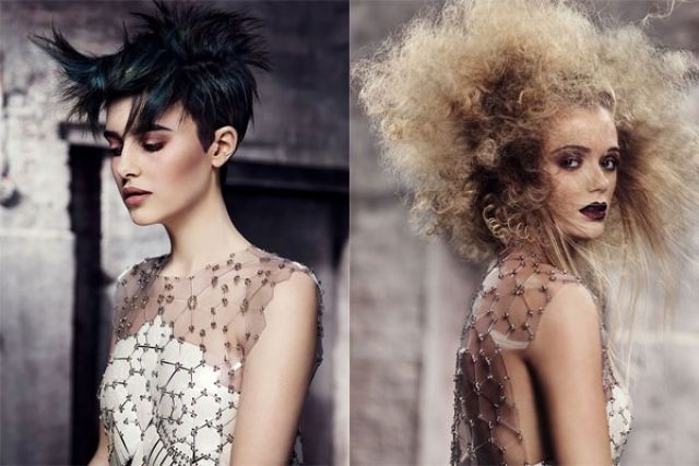 RAGS TO RICHES - Alexander Turnbull