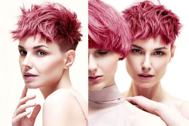 ANDREW SMITH VIVA MAGENTA COLLECTION