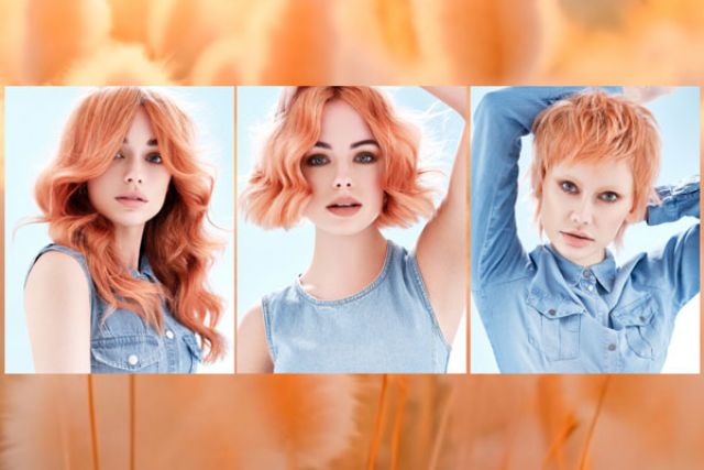 New Collection from Andrew Smith