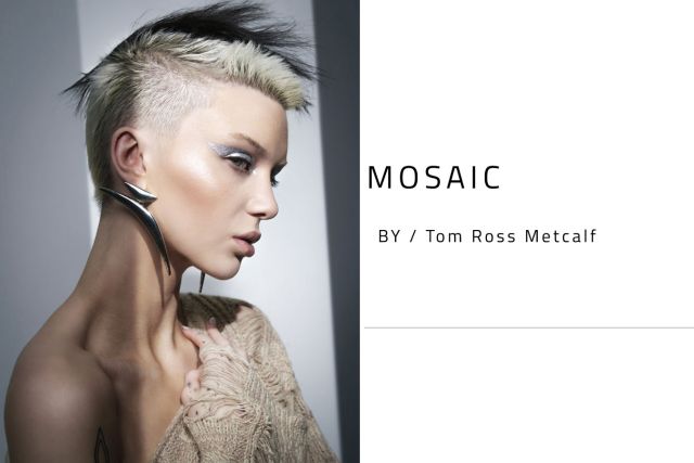MOSAIC - Tom Ross Metcalf