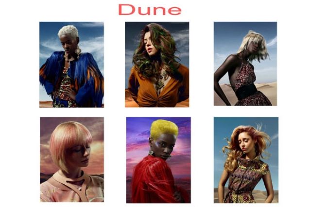 Dune / Anne Veck