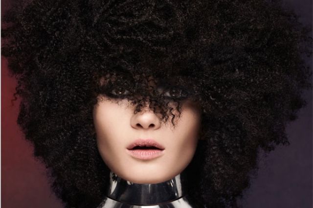 Lucid Love Collection