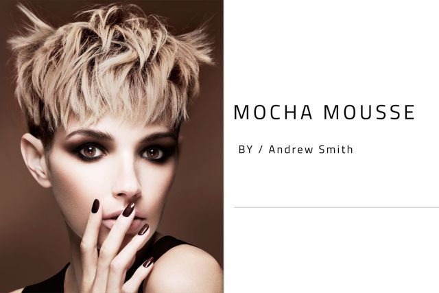 Andrew Smith - MOCHA MOUSSE