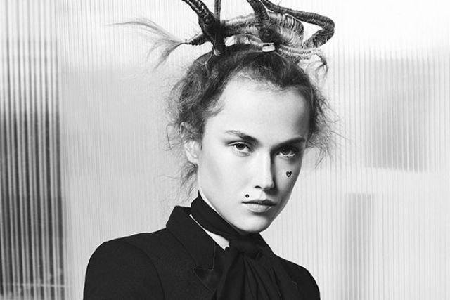 KAM Elements Collection