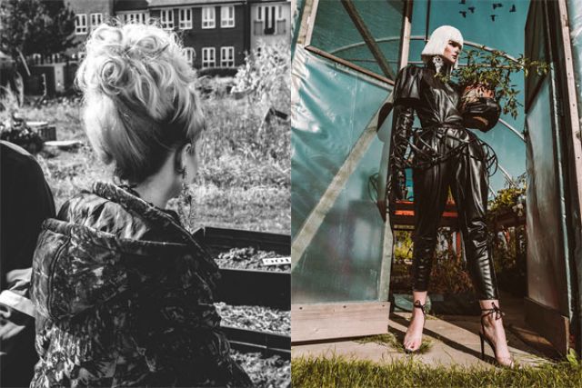 A Murder of Crows - Anne Veck