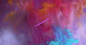 we hair professional